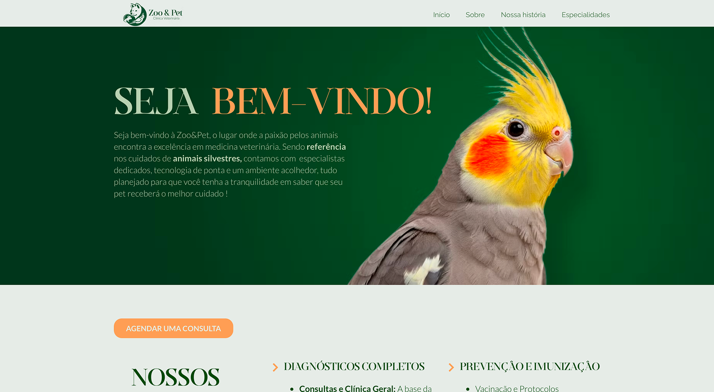 Site antes do método — Zoo Pets